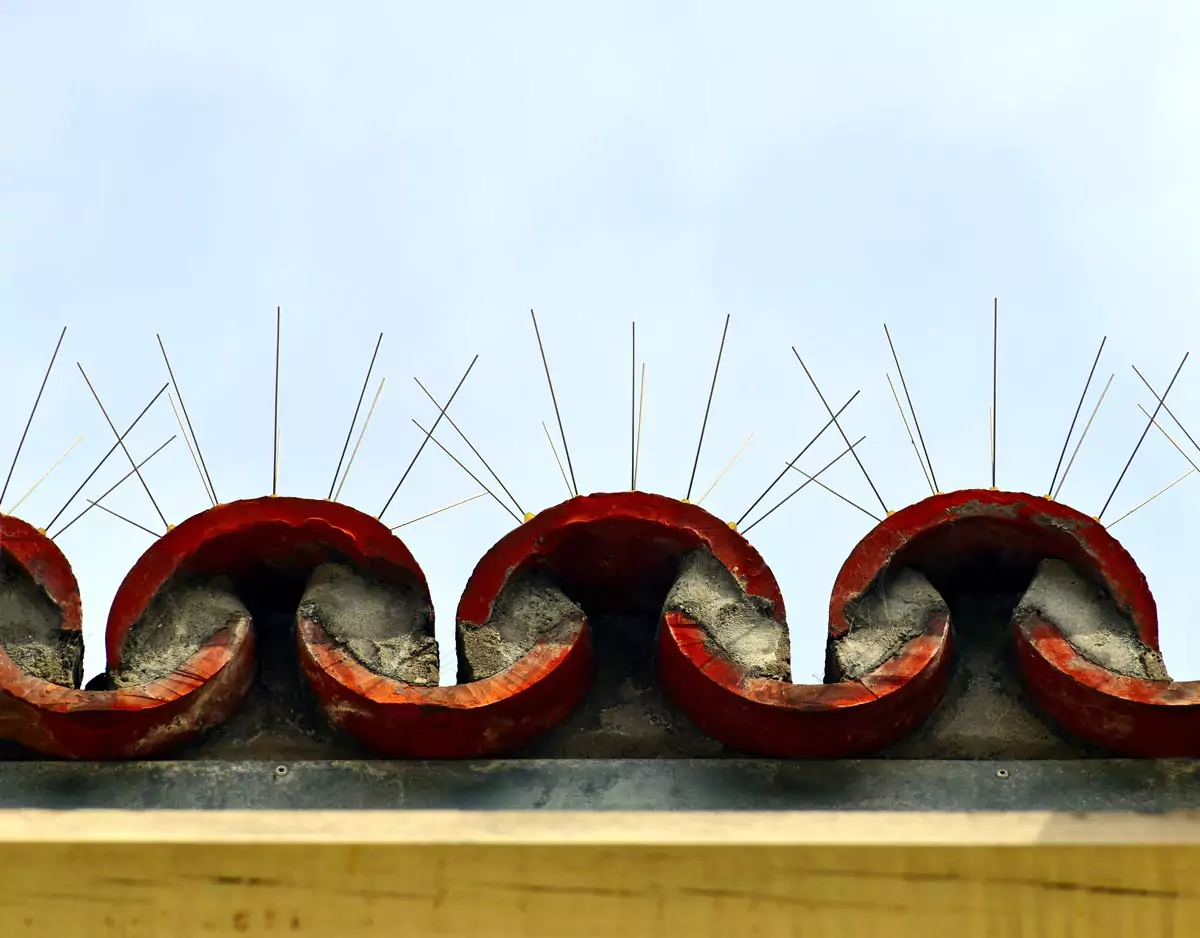 Taubenschutzsystem aus Metalldrähten auf einem Dach aus Dachziegeln